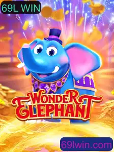 Explorando o Fascinante Mundo de WonderElephant: Obrigatório para Aficionados por Jogos